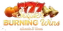 Super Burning Wins